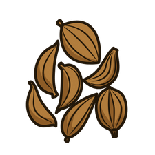 Ajowan zaad heel